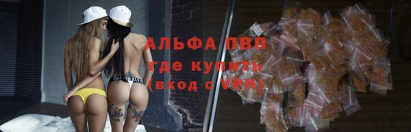 spice Арсеньев