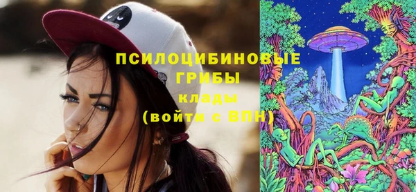 spice Арсеньев