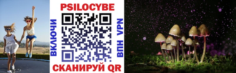 Галлюциногенные грибы MAGIC MUSHROOMS  Высоцк 